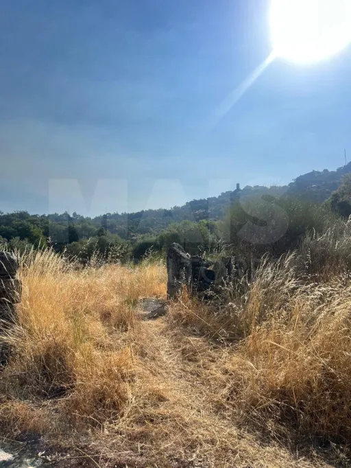 Terreno rústico com abrigo em pedra entre penedos | Monsanto