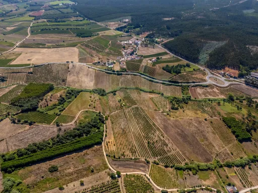 Terreno para construção de duas moradias, Rabissaca, Alenquer