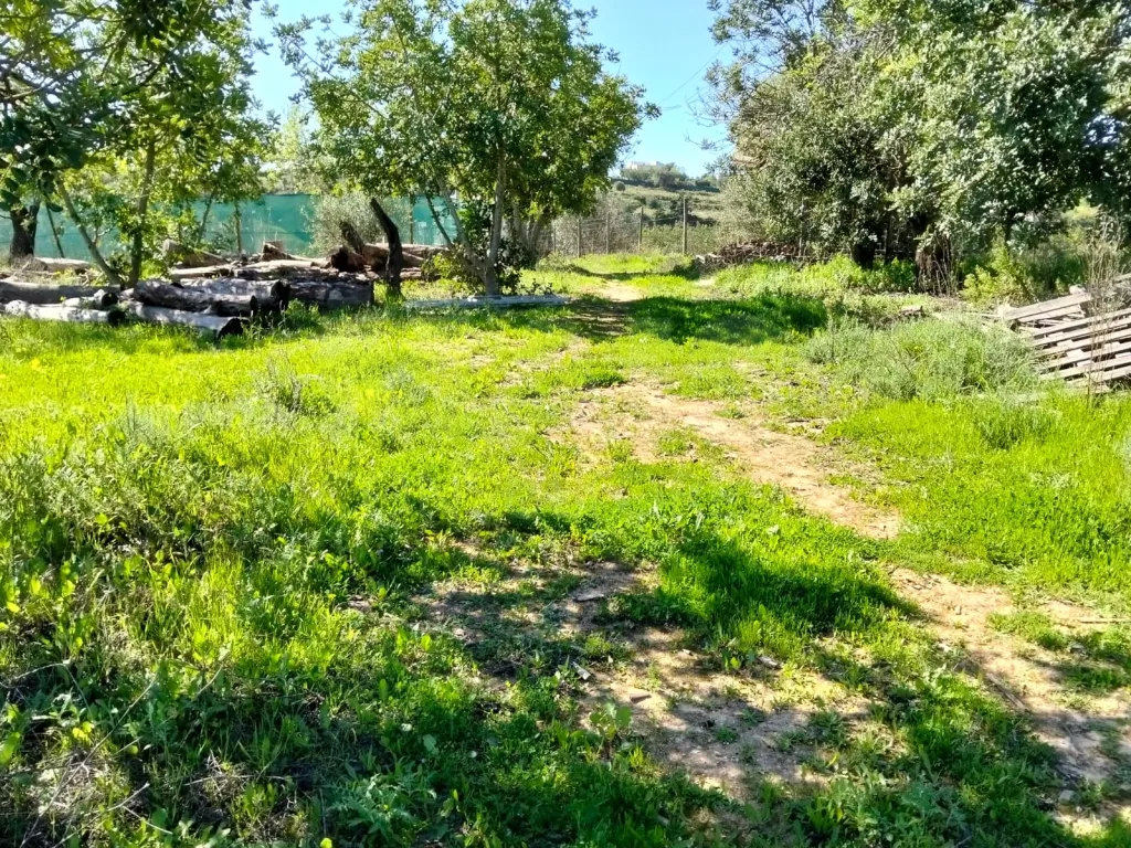 Lote de Terreno Rustico