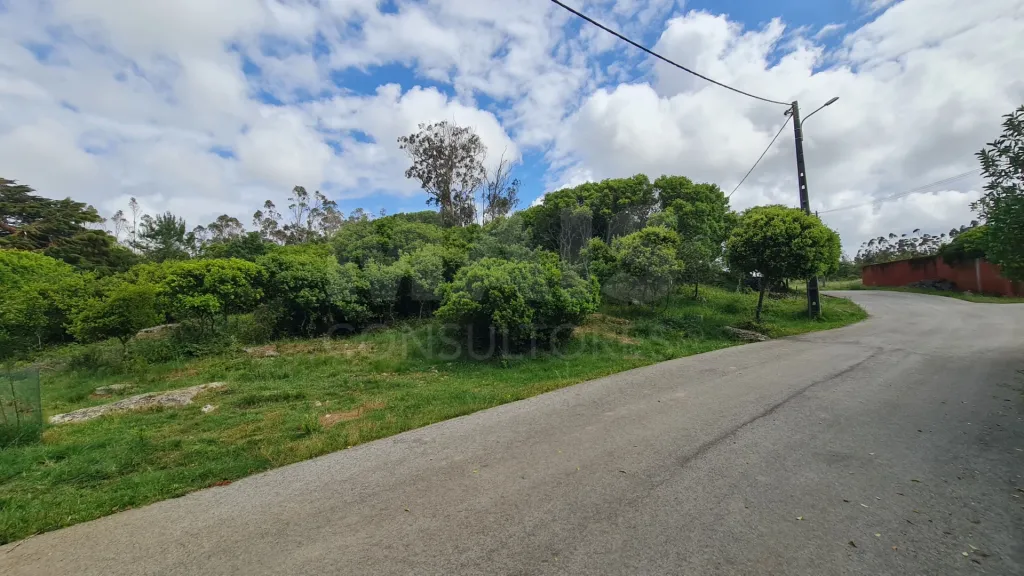 Terreno com 1 520m²  em Cezaredas – Oportunidade Única!