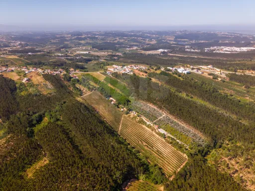 Terreno Agrícola na Fanadia | 16.100 m² de Potencial e Infraestruturas Preparadas
