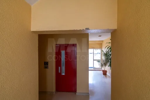 3 Bedrooms + 1 with Box in Santo Antônio dos Cavaleiros