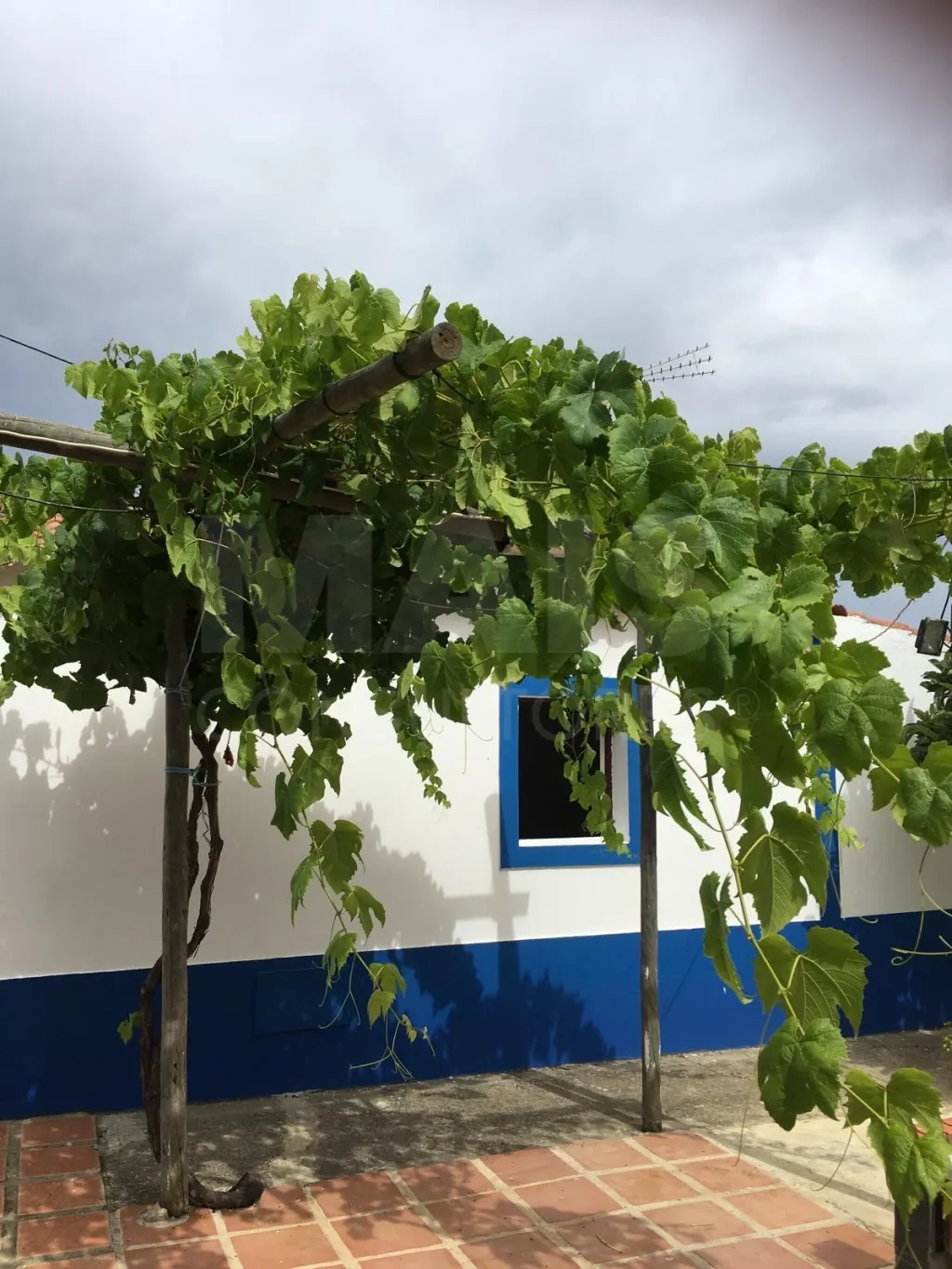 Quintinha com 4 Quartos e Jardim em Campo Redondo, Colos,  Odemira