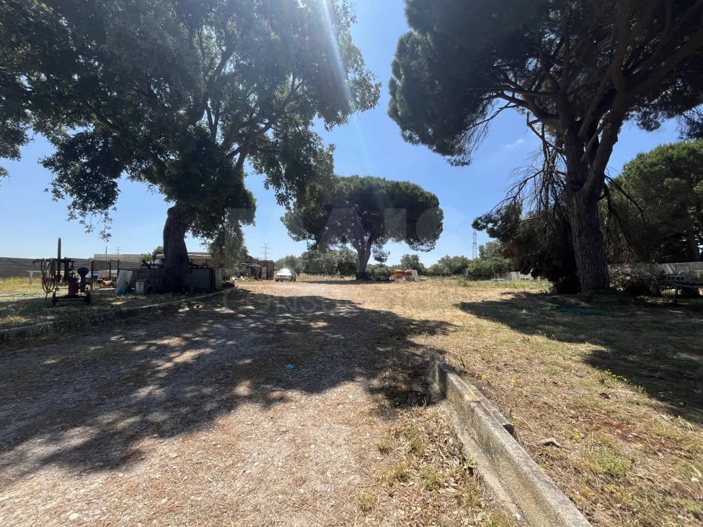 Land in Arados, Samora Correia