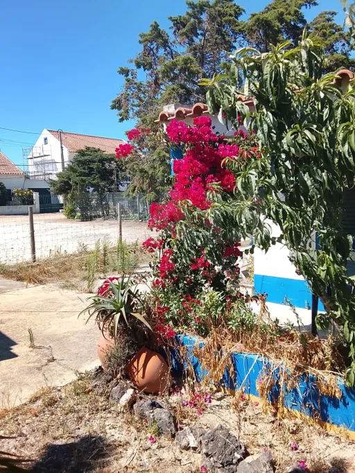 Moradia T2 com Quintal, Terraço e Churrasqueira em Vila Nova de Milfontes