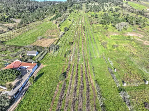Terreno c/ Projecto Aprovado p/ Moradia T3 c/ 3 Suites, Parqueamento, Jardim e Piscina!