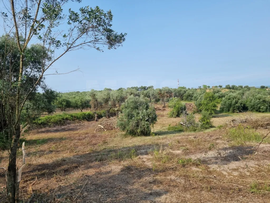Terreno Misto com Ruina em TORRES NOVAS