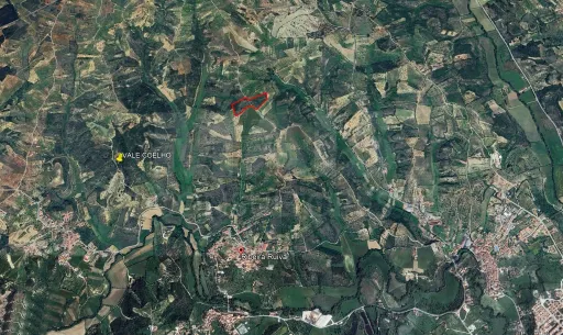 Terreno Rustico  Pedrogão TORRES NOVAS