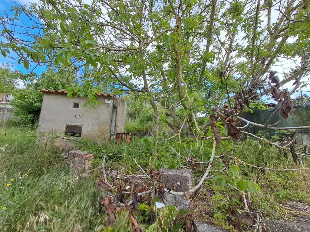 Moradia T2 c/ terreno em Salir de Matos