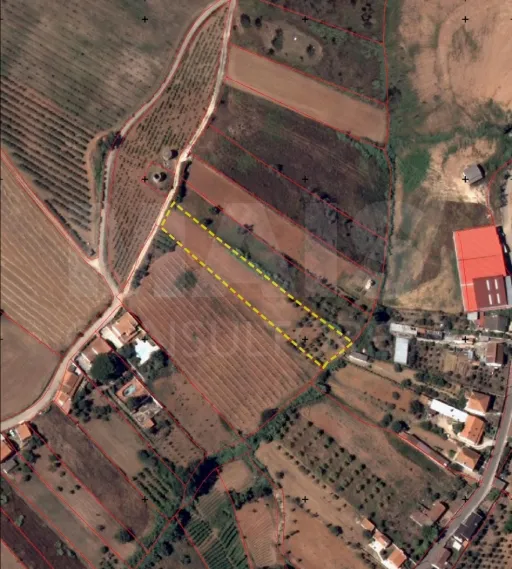 Terreno 2560 m2 Peral/Cadaval