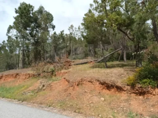 Terreno Misto, Salgueiro do Campo, Castelo Branco