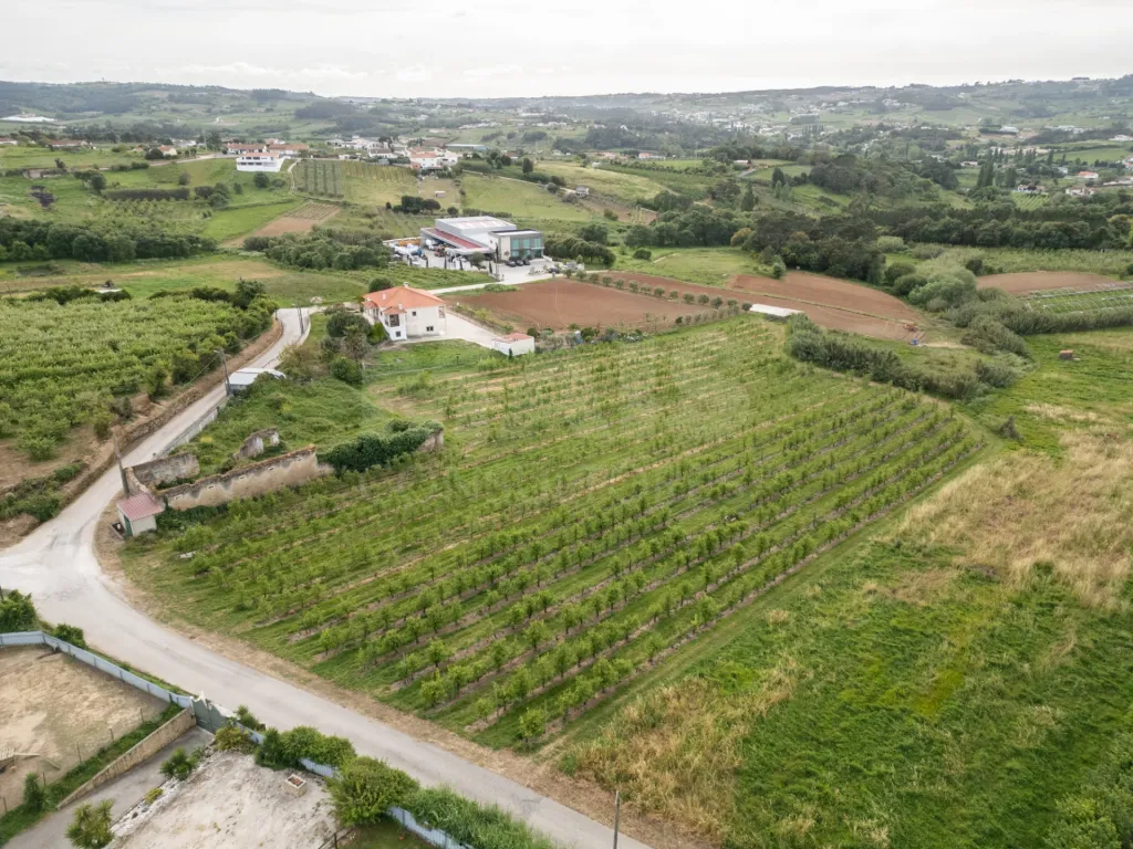 Terreno com PIP aprovado para 6 Moradias