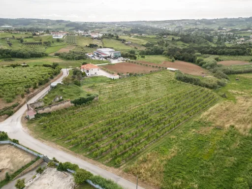 Terreno com PIP aprovado para 6 Moradias