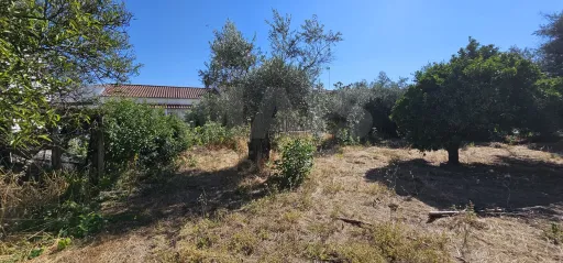 Moradia 2 Pisos centro Peroviseu c/ Terreno 500m2 e Garagem