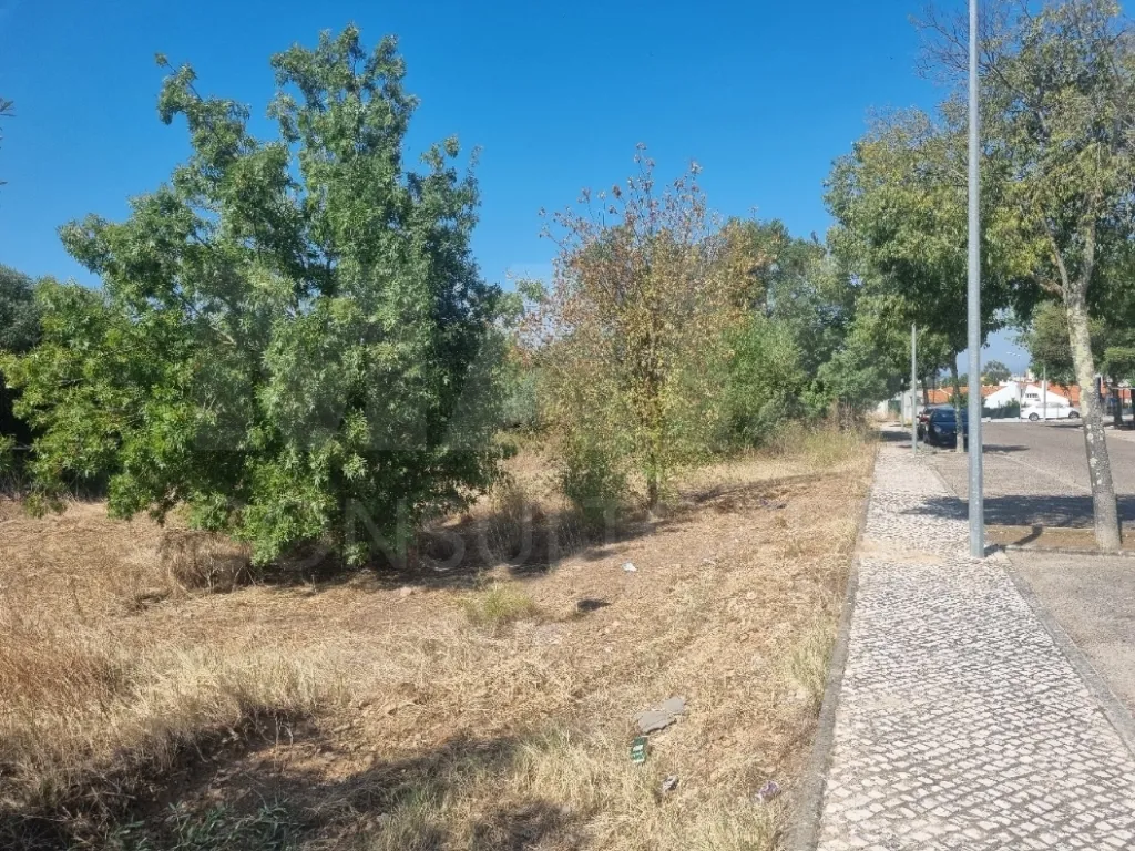 Terreno Rustico URBANIZAVEL Vila Nova da Barquinha