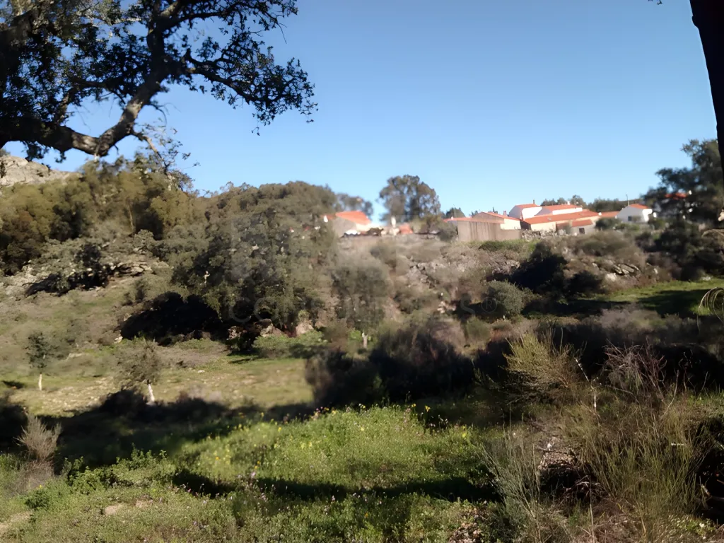 Terreno Rústico em Monsanto - Oportunidade Única para Construção Residencial