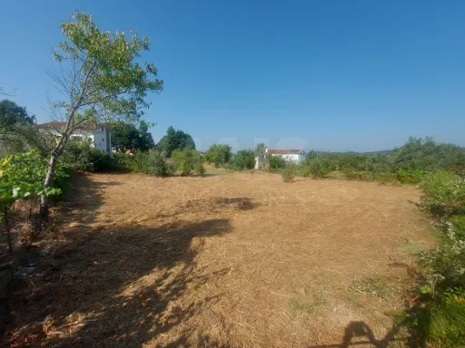 Terreno para construção em Côja