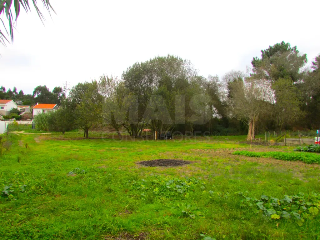 Terreno Misto - 1ha - Torres Vedras - Ramalhal