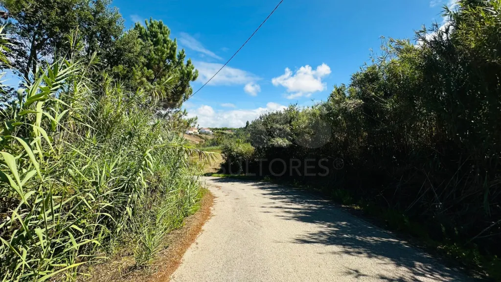 Terreno com 6.042 m² | Potencial de Construção | Santa Bárbara, Lourinhã
