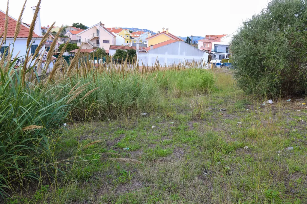 Lote Urbano na Apelação para Moradia.