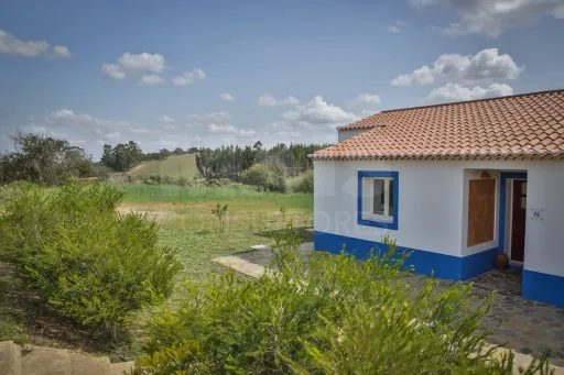 Monte Alentejano T3 em Cercal do Alentejo