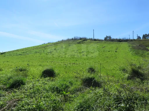 Terreno Urbanizável para Construção Torres Vedras