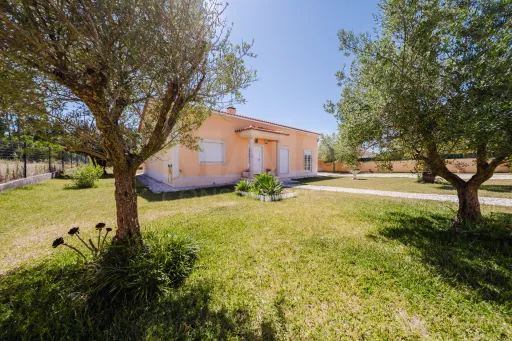 Moradia T3 Térrea com jardim e árvores de fruto