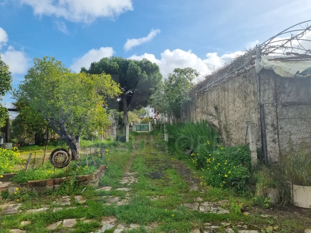 Moradia T4 com piscina, no centro da  Concavada em Abrantes