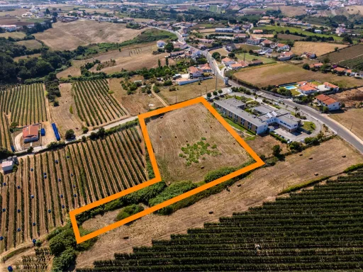 Terreno urbanizável- Zona Oeste Alcobaça