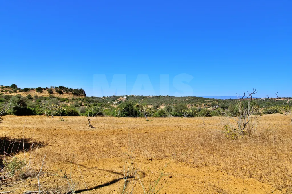 Terreno rústico em Algoz