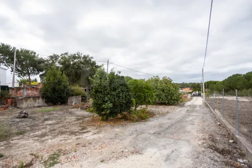 Moradia Térrea T2 para remodelar em Coruche-Vale Mansos