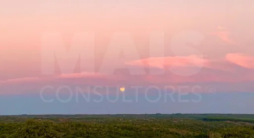 Herdade  com 40,85 hectares em São Bartolomeu da Serra, Santiago do Cacém