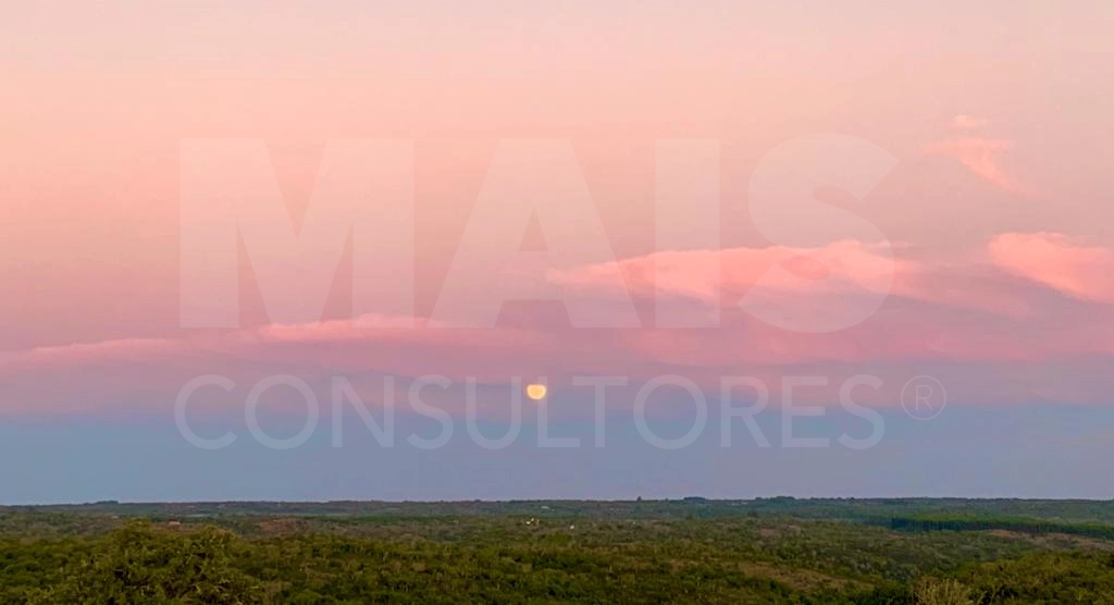 Herdade com 52,45 hectares em São Bartolomeu da Serra, Santiago do Cacém