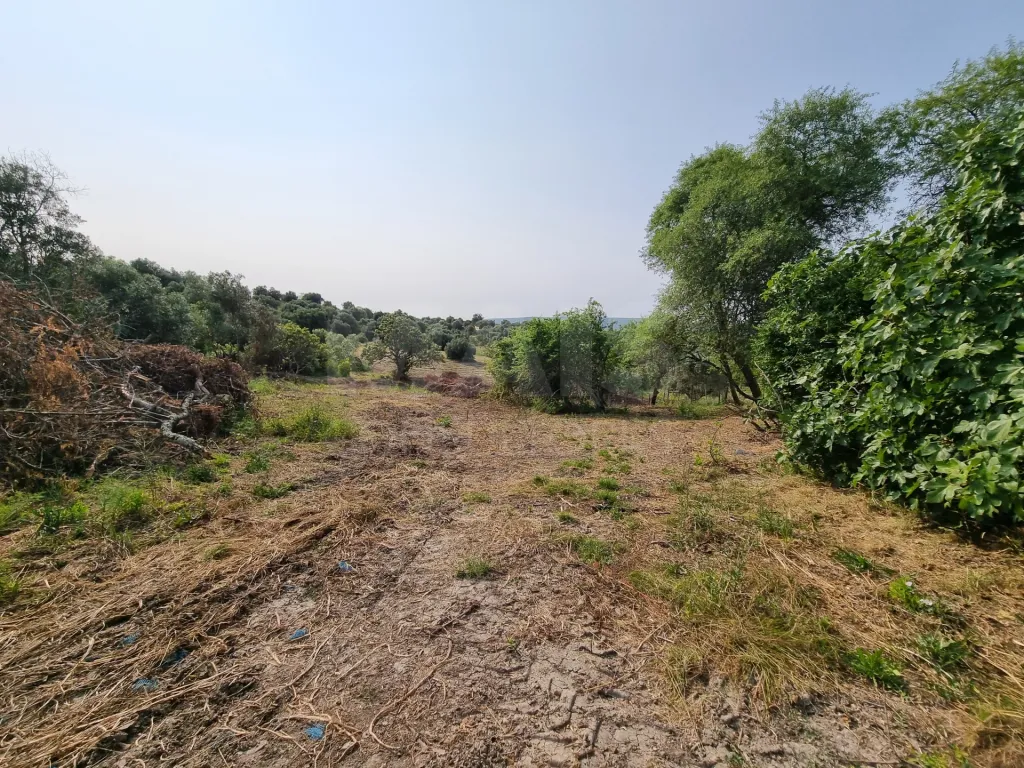 Terreno Misto com Ruina em TORRES NOVAS