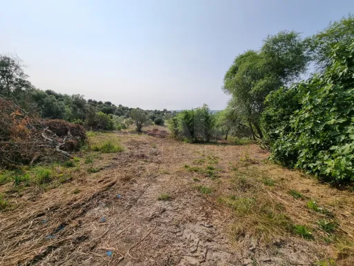 Terreno Misto com Ruina em TORRES NOVAS