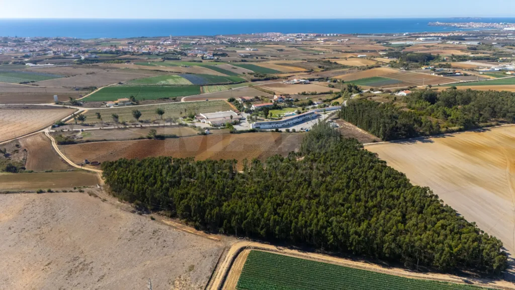 Parcela de terreno rústico de 2.350m2 em Atouguia da Baleia