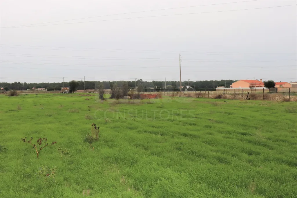 Terreno em Foros de Salvaterra , Salvaterra de Magos.