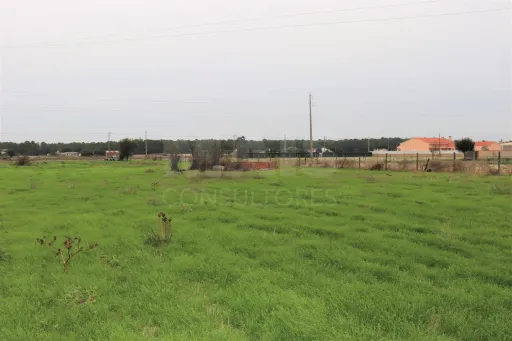 Terreno em Foros de Salvaterra , Salvaterra de Magos.