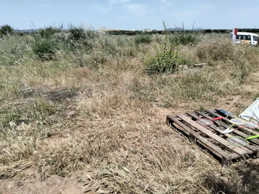 Lote de terreno rústico plano