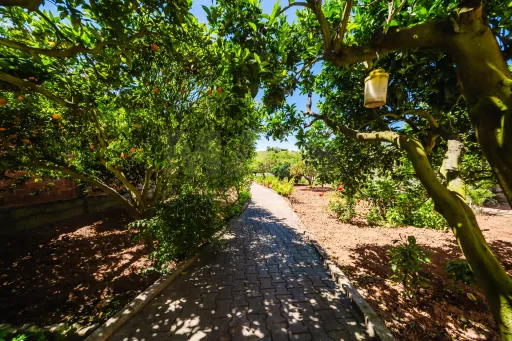 Villa with charm and privacy on a 1400m² plot
