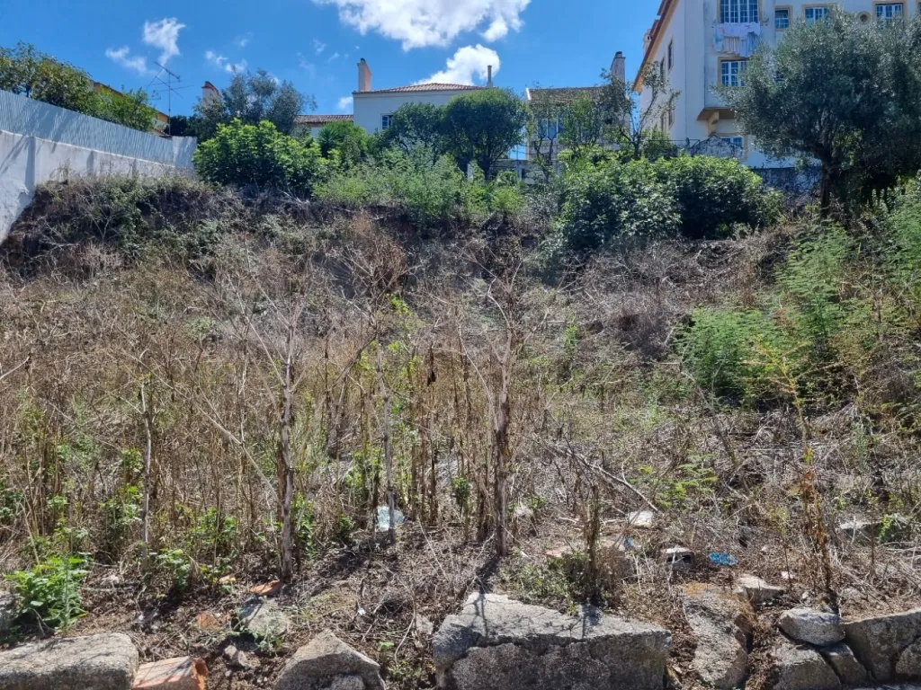 Terreno para construçao +Terreno rustico