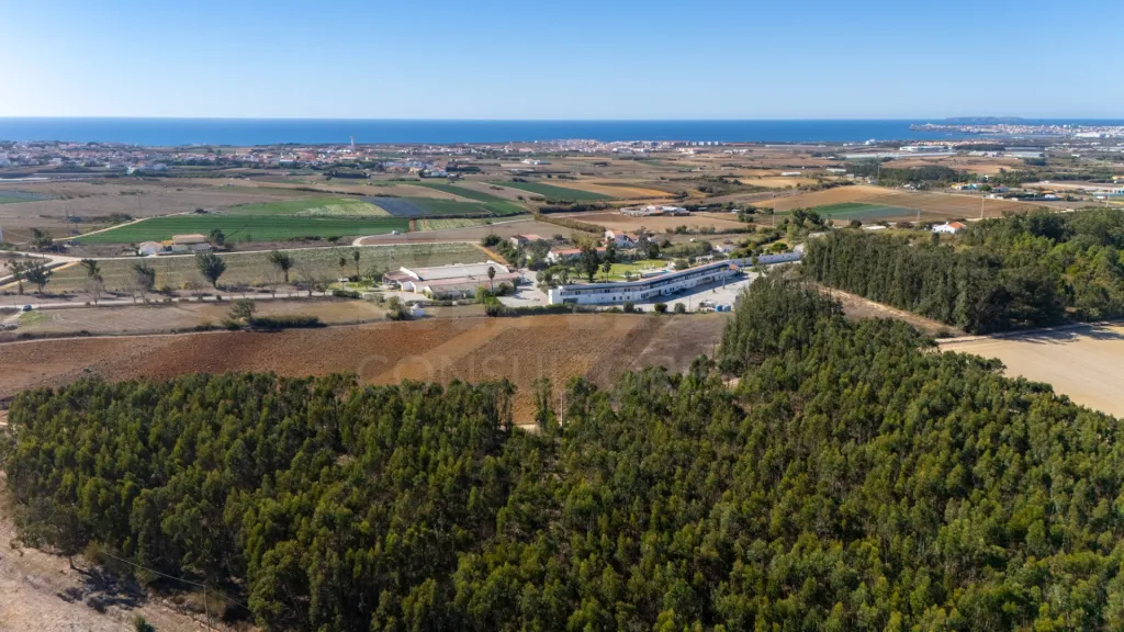 Parcela de terreno rústico de 2.350m2 em Atouguia da Baleia