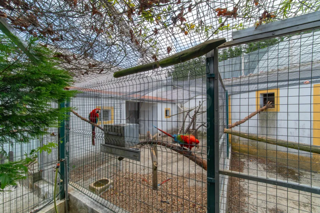 Moradia T4 com Piscina, Excelente Espaço Exterior em Carnota - Alenquer
