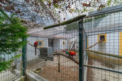 Moradia T4 com Piscina, Excelente Espaço Exterior em Carnota - Alenquer