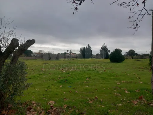 Terreno rústico 6.000m2 situado em Lau-Palmela