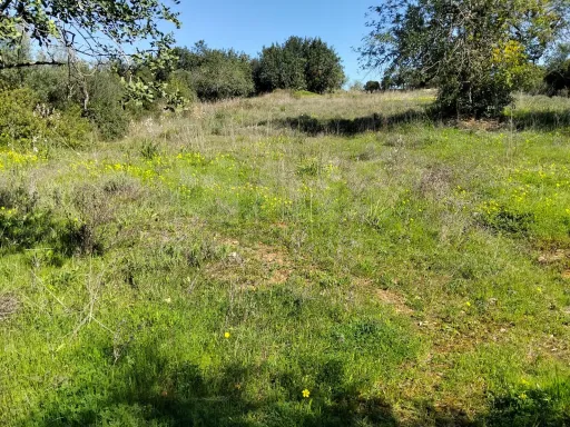 Lote de Terreno Rustico