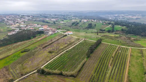 Terreno no centro da Usseira