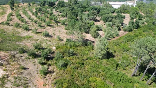 Terreno Rústico 12.400 m² – Autêntico Miradouro Natural sobre o Ribatejo e Serra de Montejunto