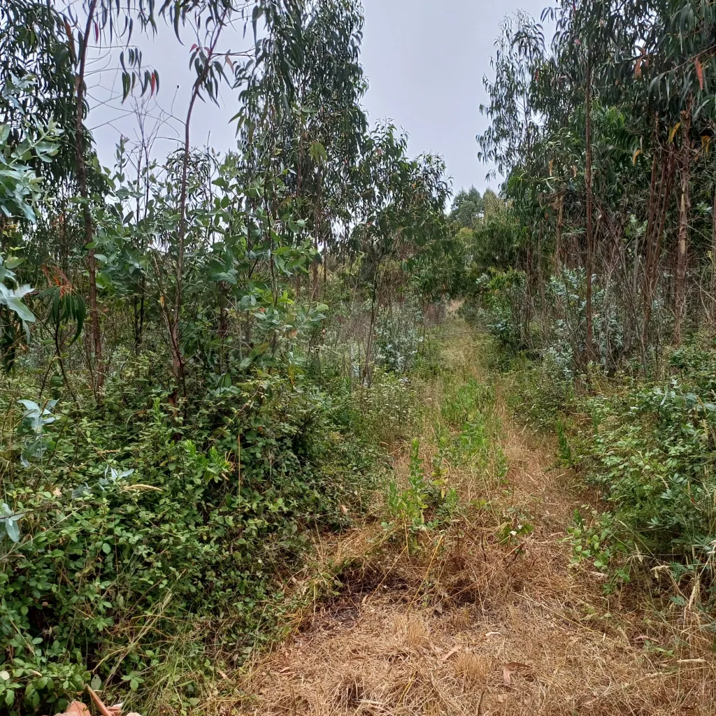 Terreno com viabilidade de construção de 3300m2