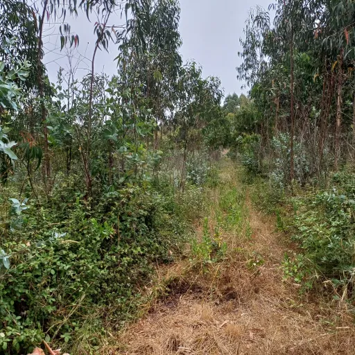 Terreno com viabilidade de construção de 3300m2